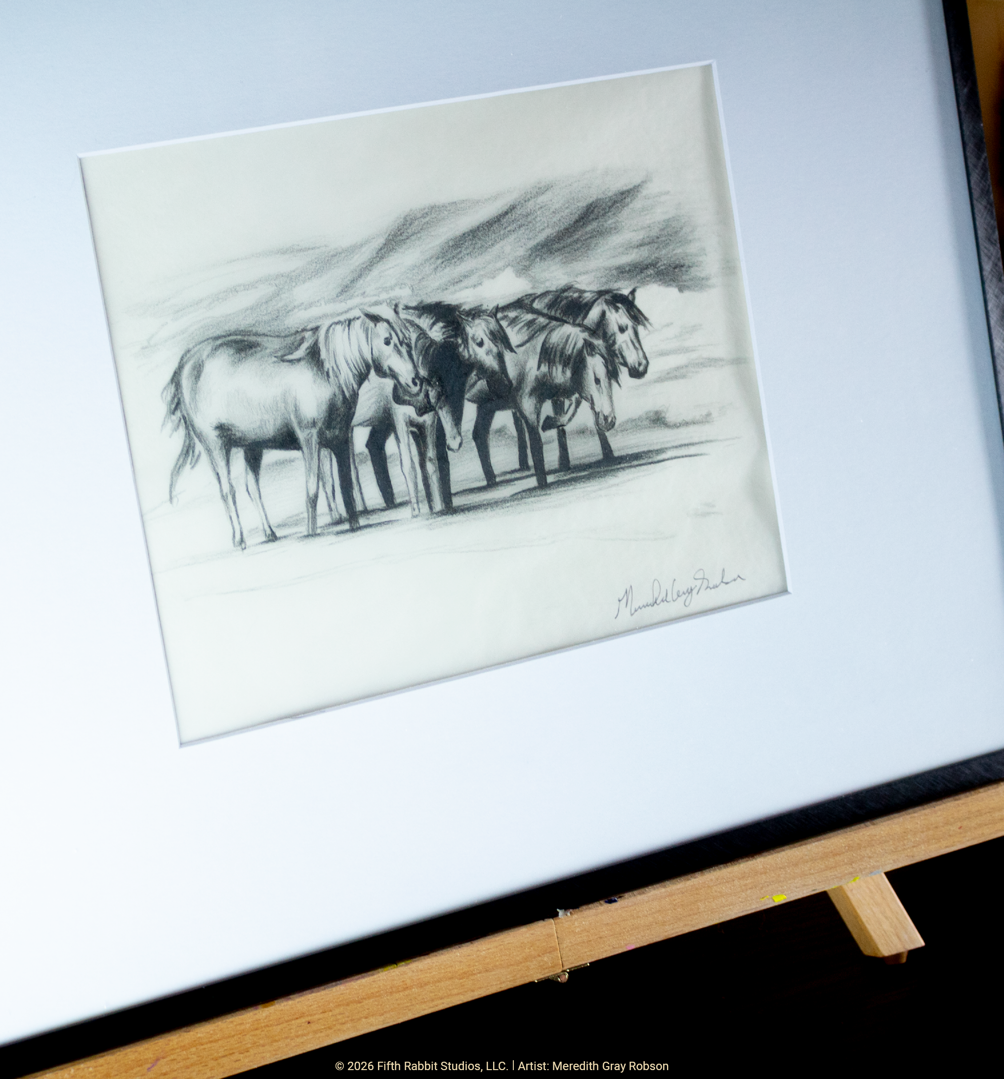 FR26Shop_AssateagueIslandWildHorsesSketch3.png