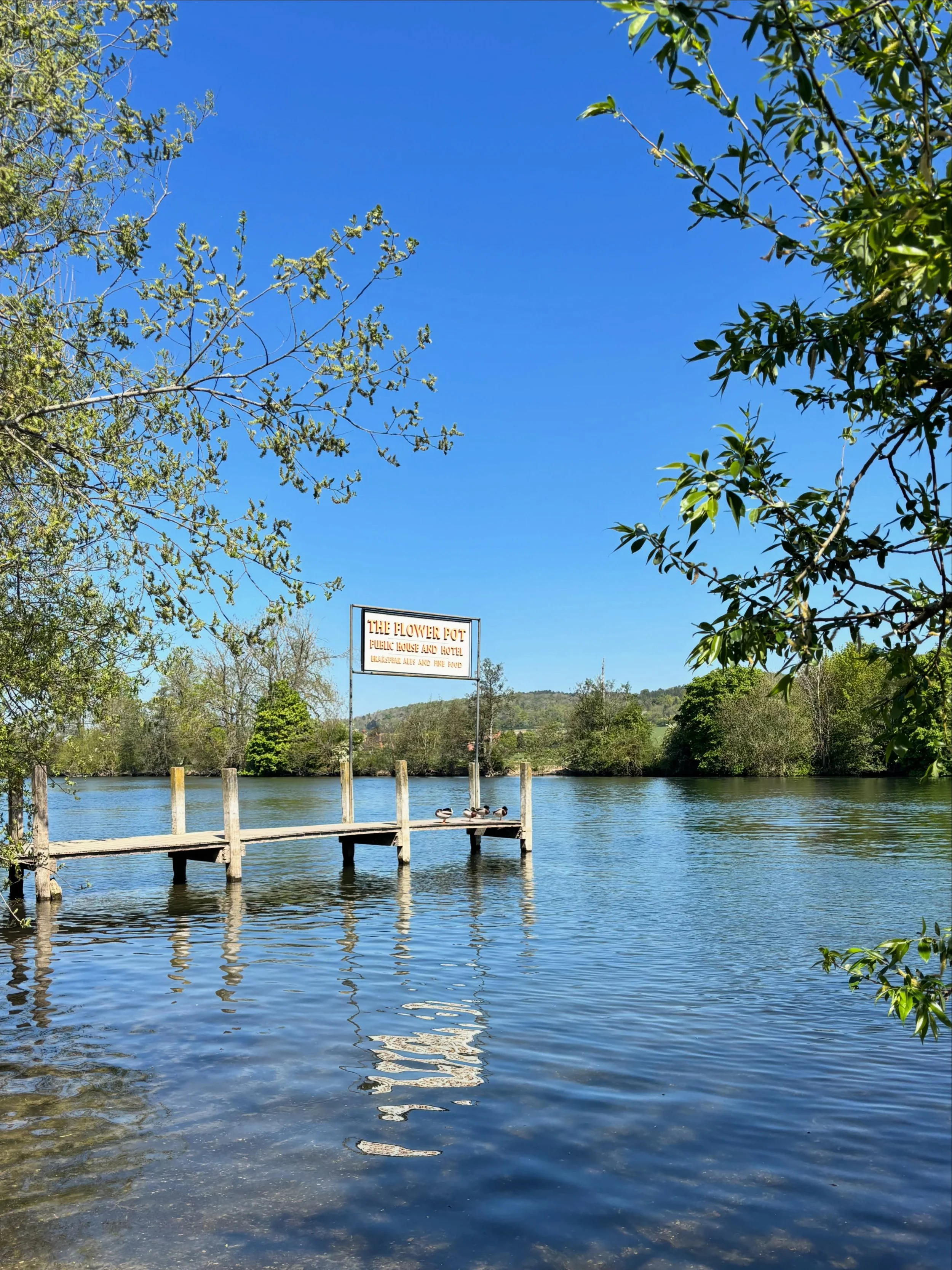 Another beautiful day on the Thames! How lucky are we to have something as stunning as this right here on our doorstep?! ☀️

The Flowerpot is the perfect pit-stop for those of you walking The Thames Path during this sunny weather - pop in for a refre