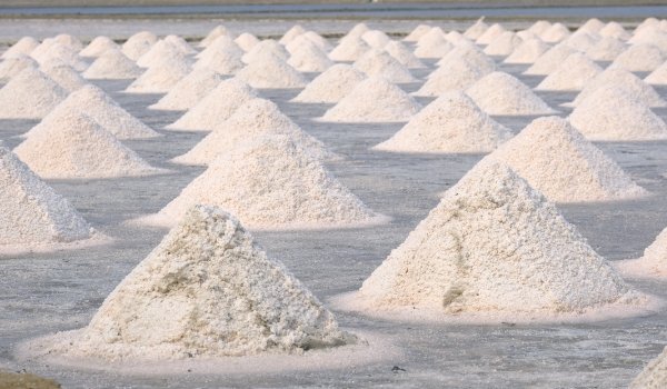 Gunther Salt’s Top 10 Frequently Asked Questions