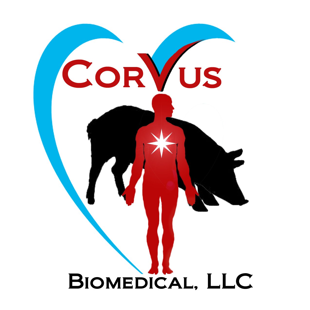 CorVus Biomedical