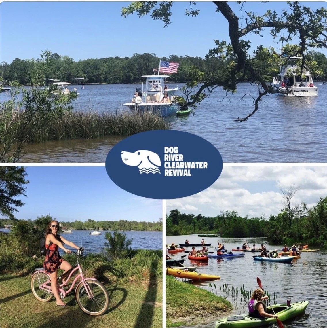 Explore the Dog River Neighborhood 
