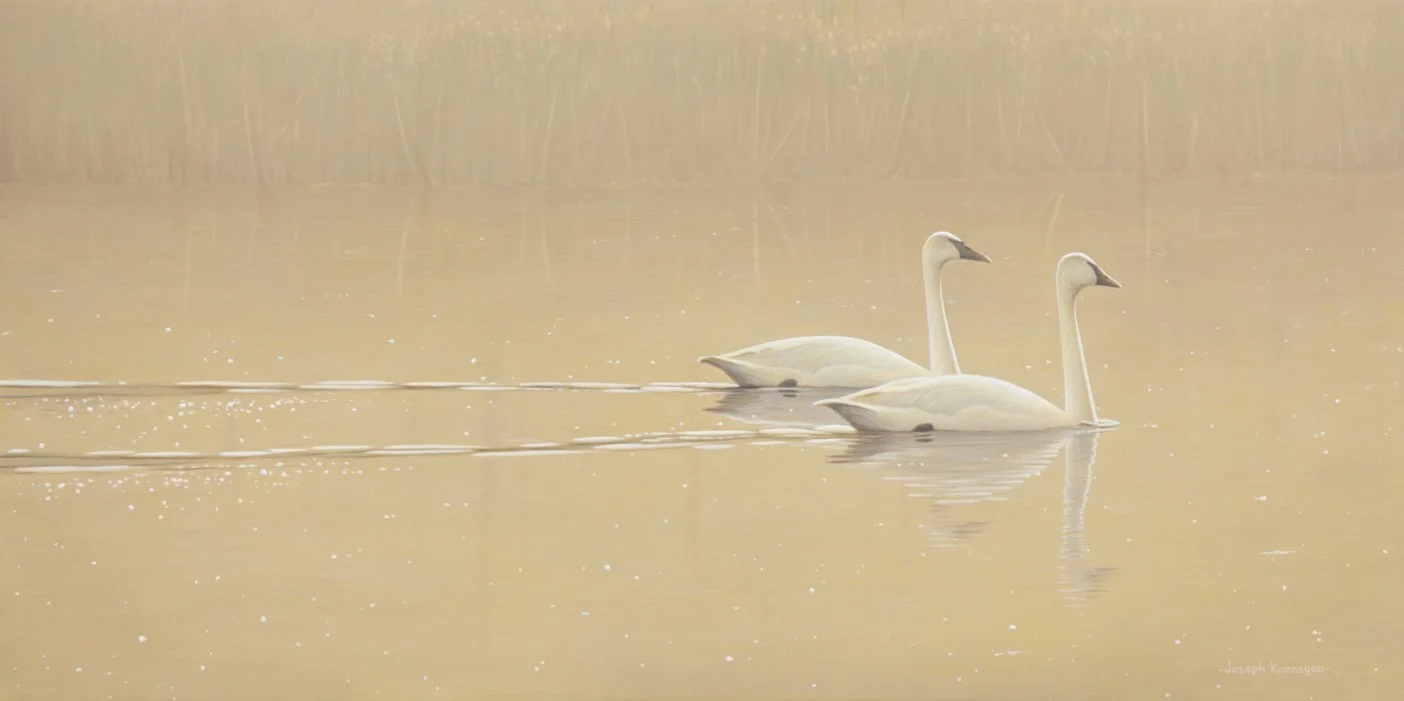 Golden Glow - 18 x 36"