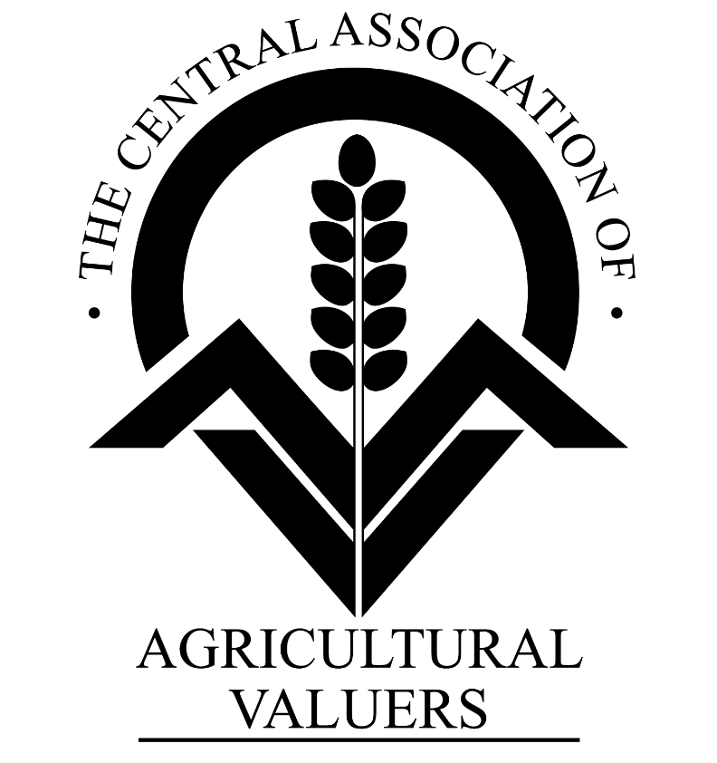 CAAV External Logo.jpg