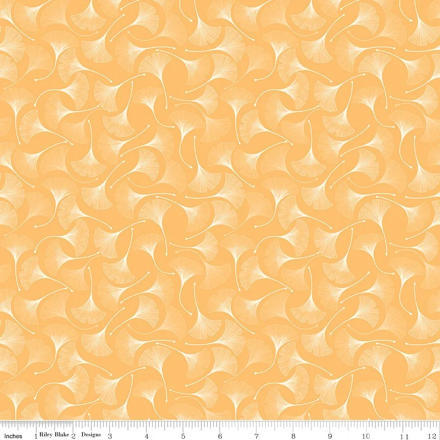 C18045-DAISY-72dpi-wruler.jpg