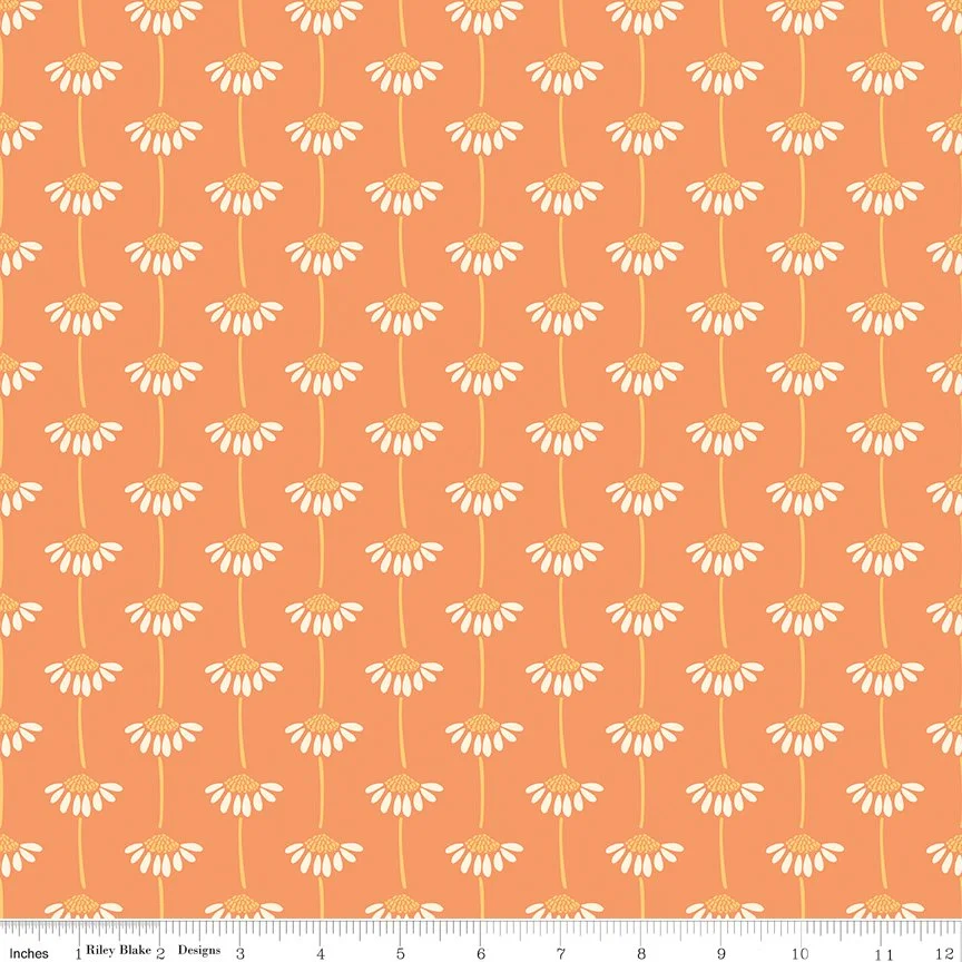 C18044-MARMALADE-72dpi-wruler.jpg