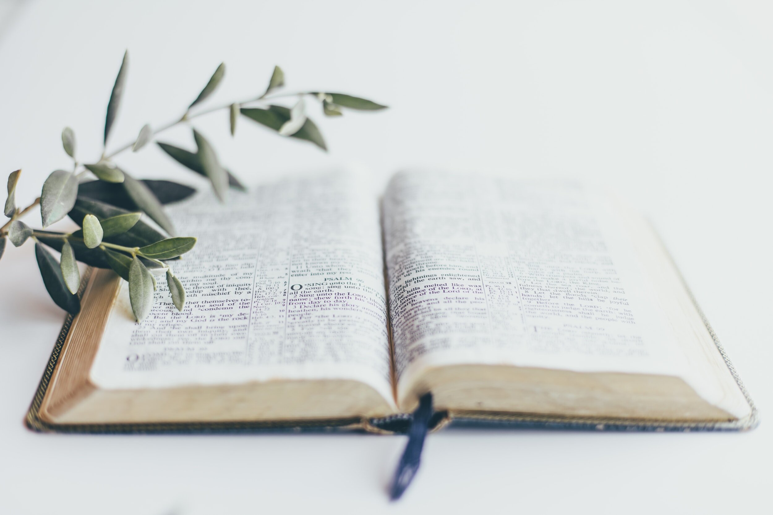 Sitting with Scripture