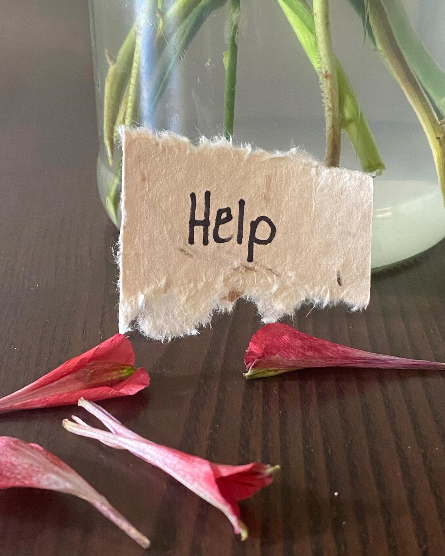 Author Anne Lamott, writes about  three simple, essential prayers: 

Help
Thanks
Wow

This morning I was overcome by gratitude for a few simple yet beautiful and encouraging gifts. 

What about you? What prayer is coming to your lips today most easil