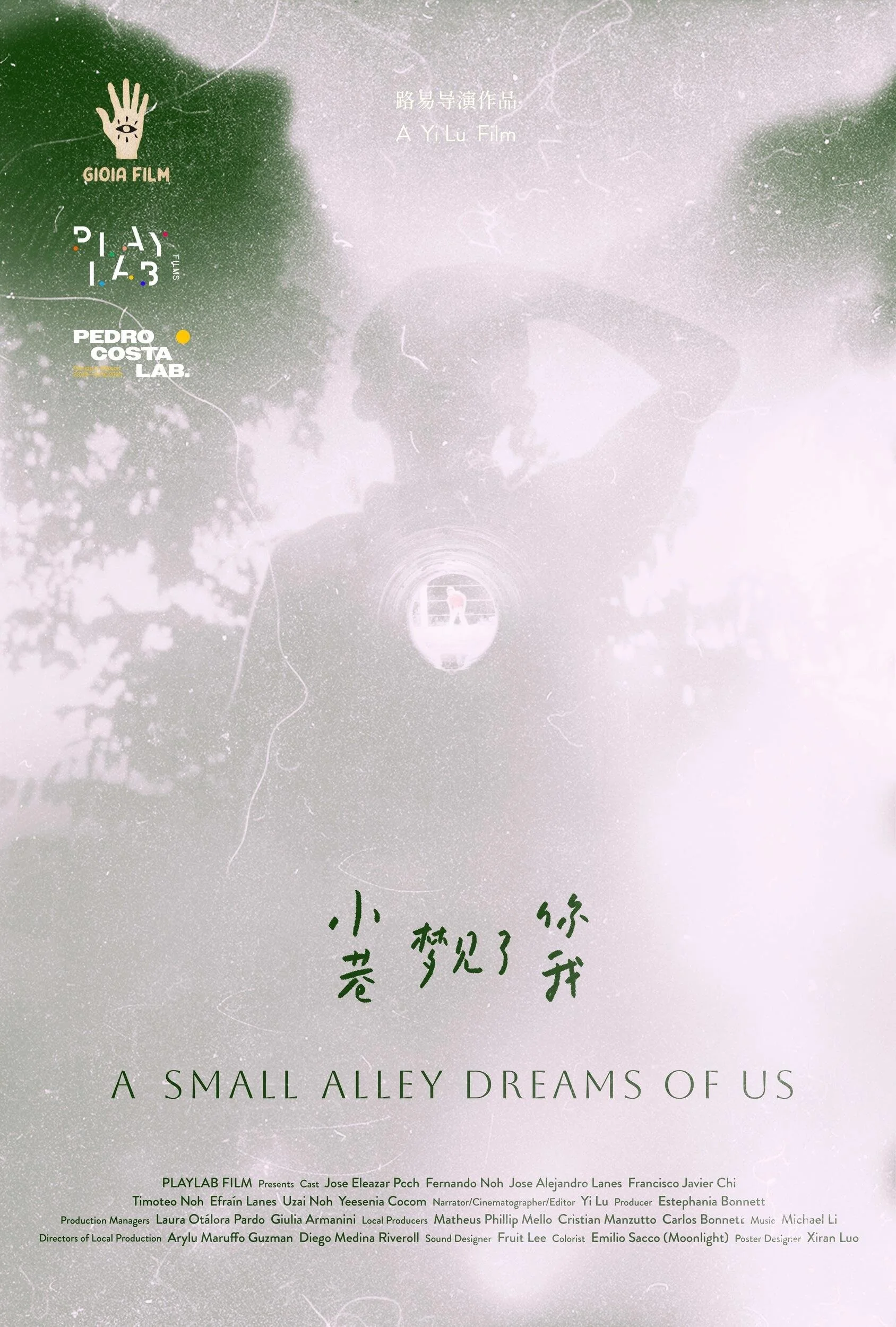 A SMALL ALLEY DREAMS OF US by Yi Lu