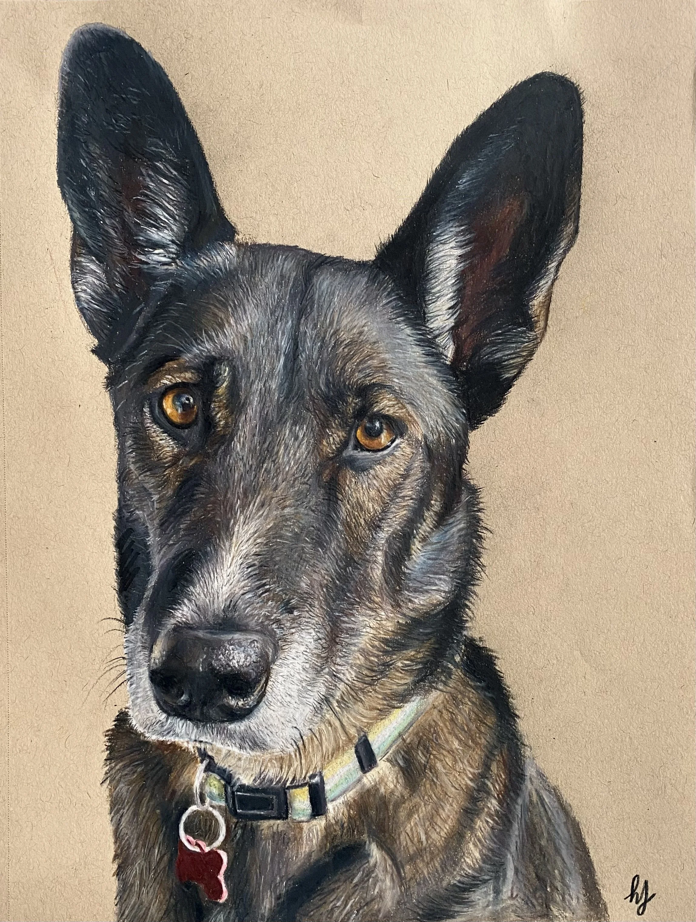 Denali (9x12 Colored Pencil)