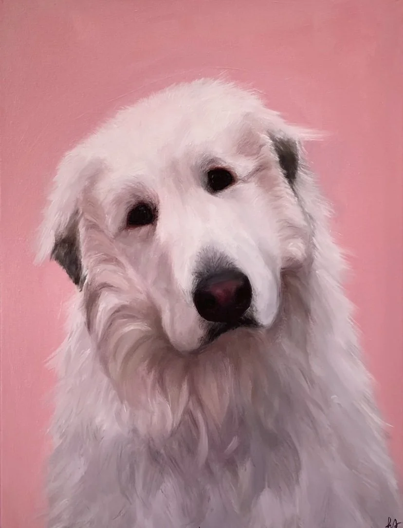 903C0F21-2A23-45FF-B436-FB30DEC901C2_1_201_a (1).jpeg