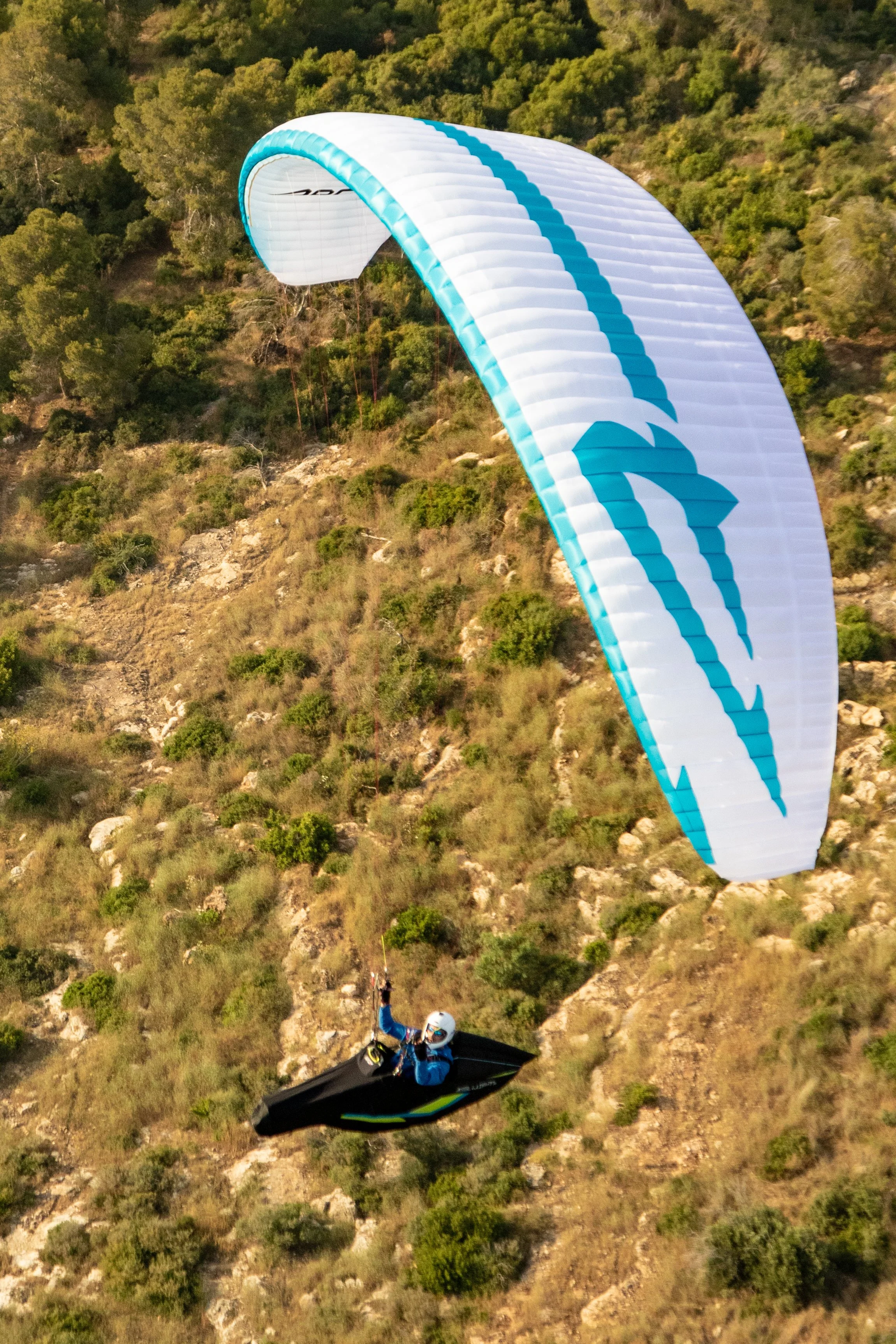 APCO Nestra Light (New high-end EN-B glider)