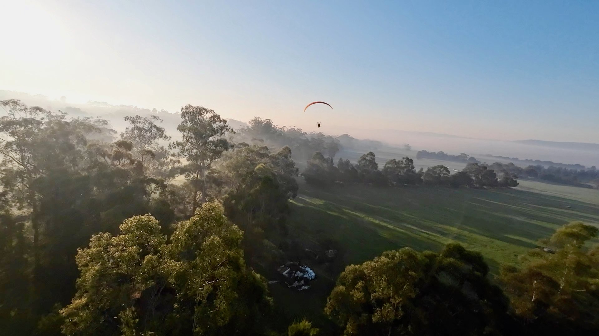 Low level flying between the trees