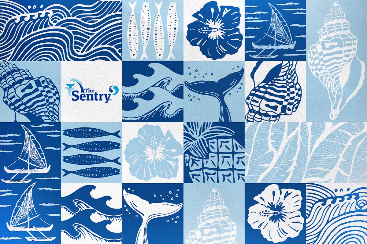 The Sentry Illustrations