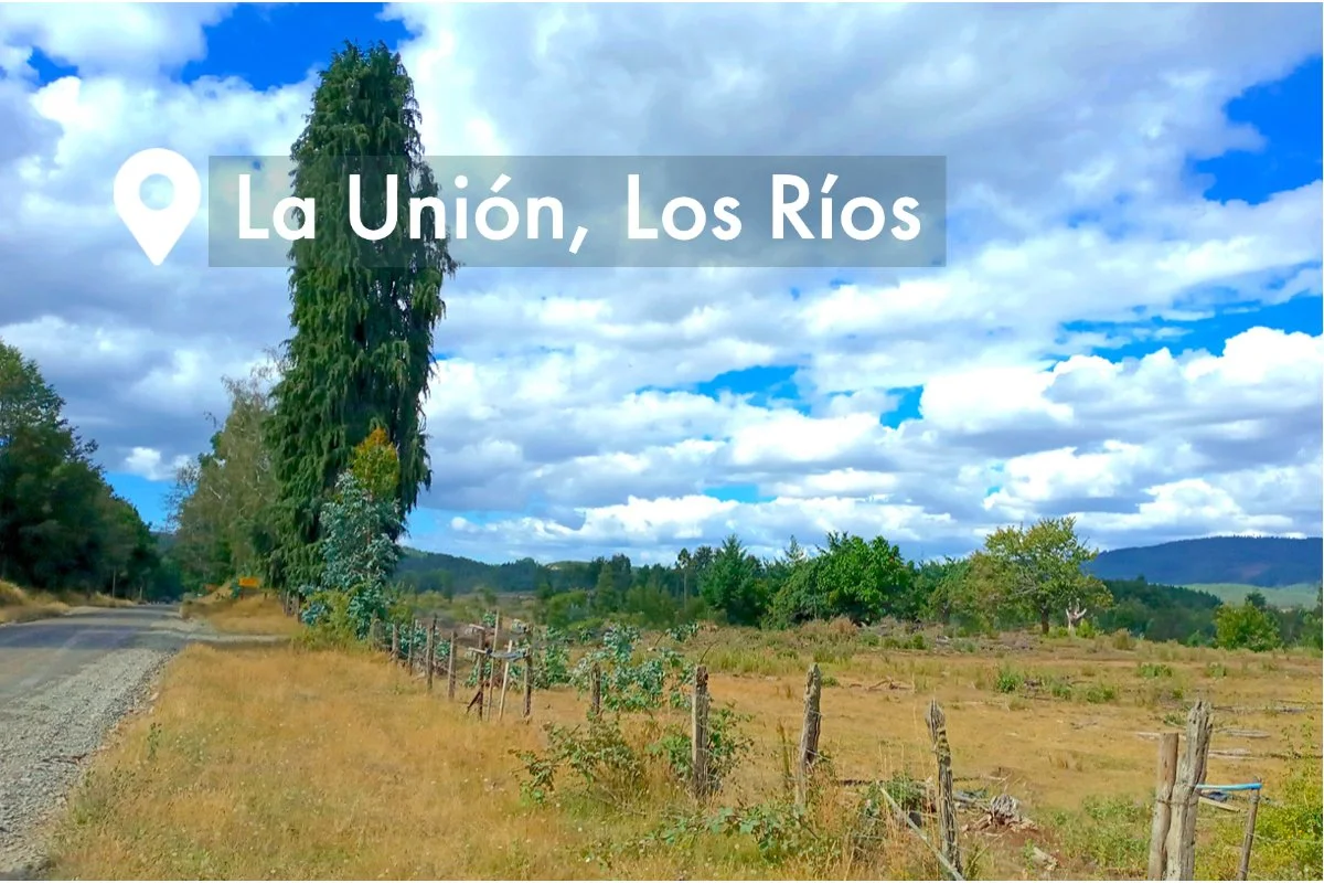 san clemente pampas del sur.jpg