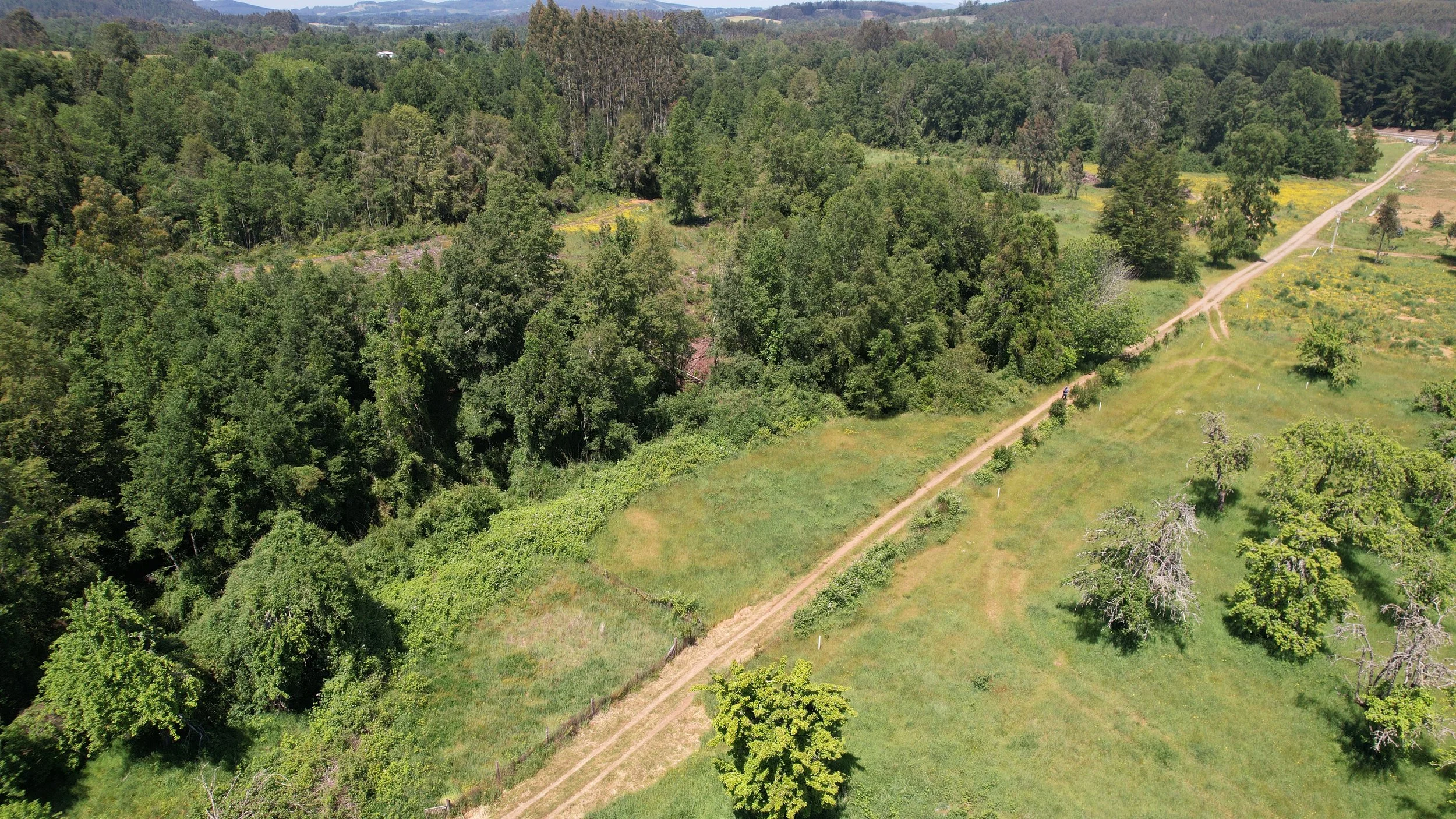 Foto 28-11-25, 12 24 06 p. m..jpg