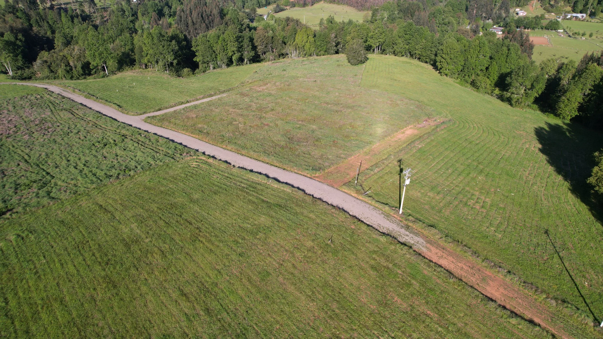 Foto 29-10-25, 6 31 10 p. m..jpg