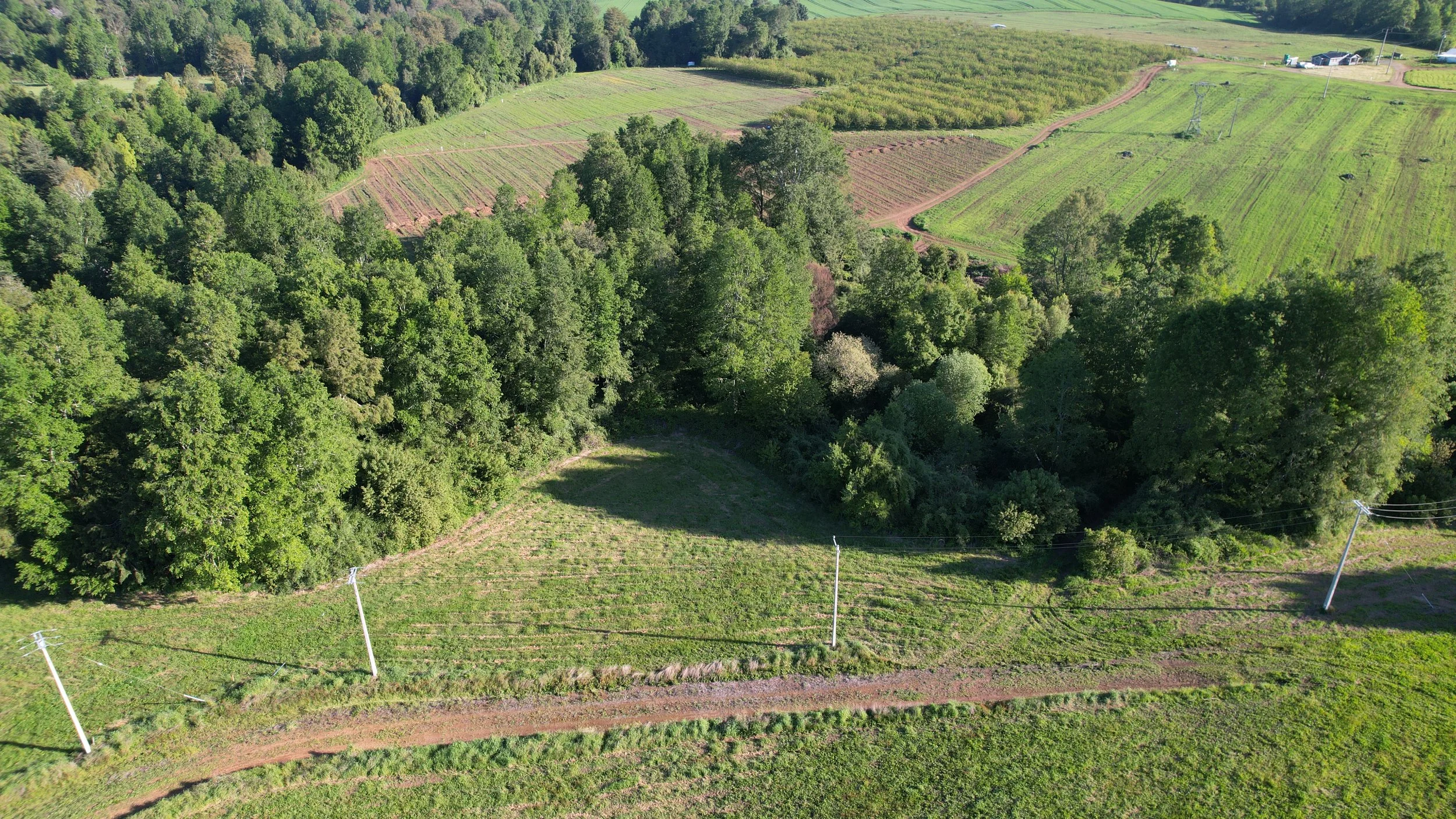 Foto 29-10-25, 6 31 00 p. m..jpg