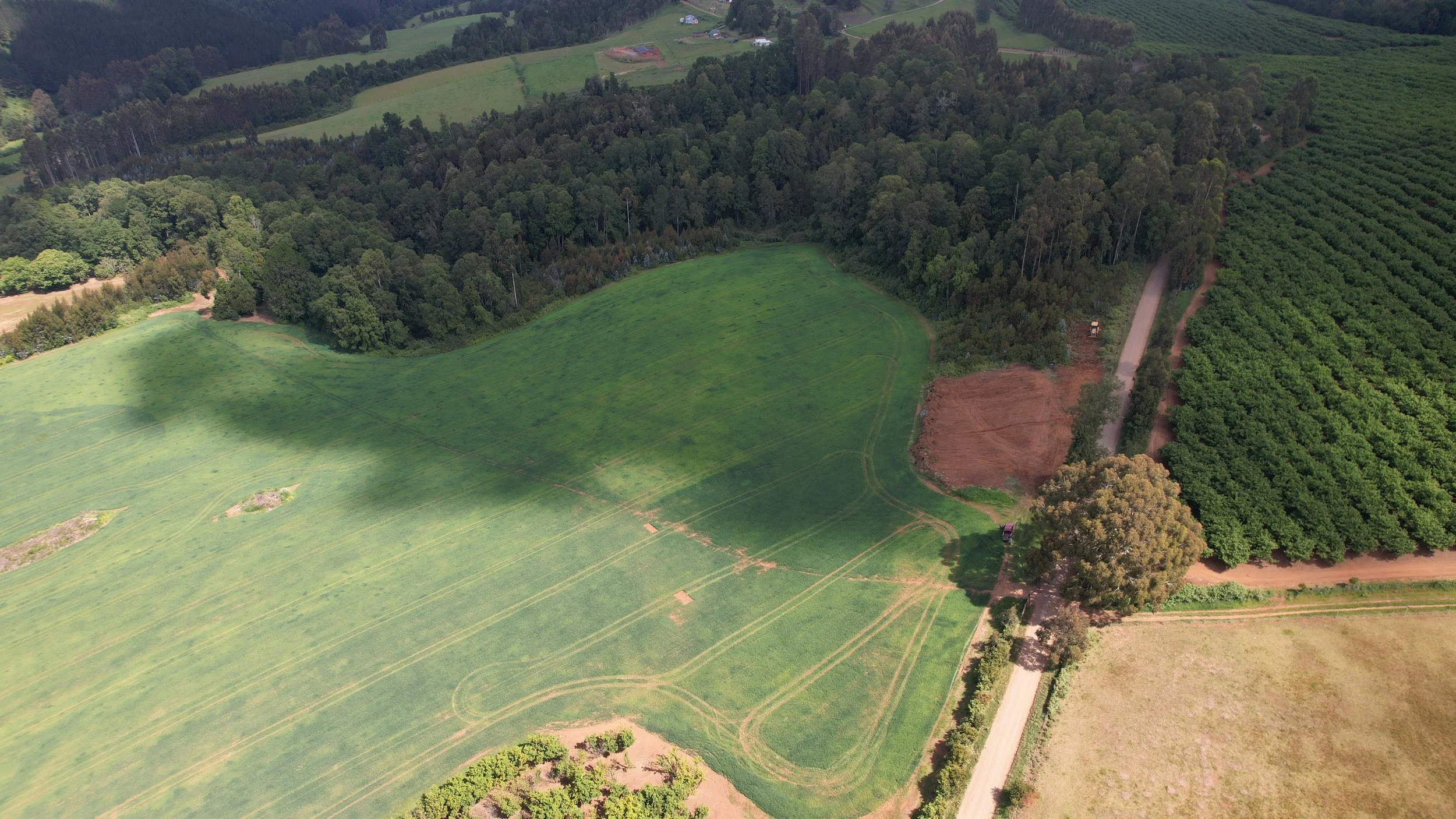 Foto 26-11-25, 4 07 58 p. m..jpg