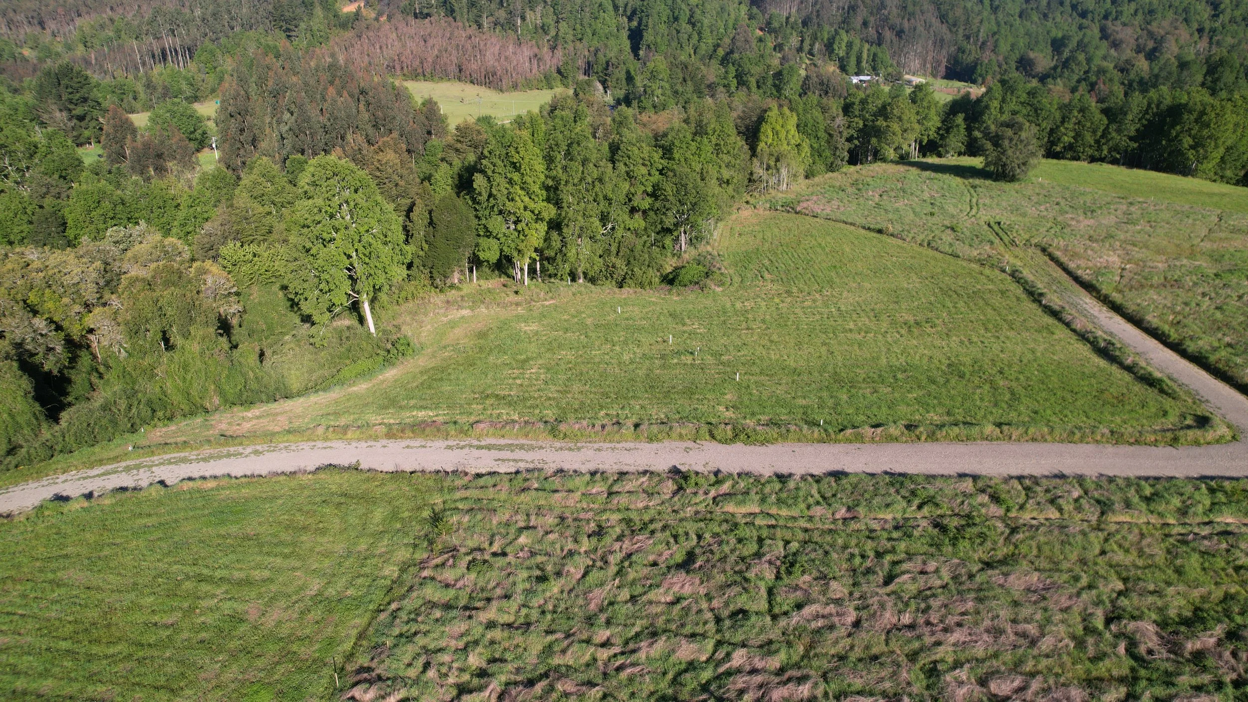 Foto 29-10-25, 6 28 38 p. m..jpg