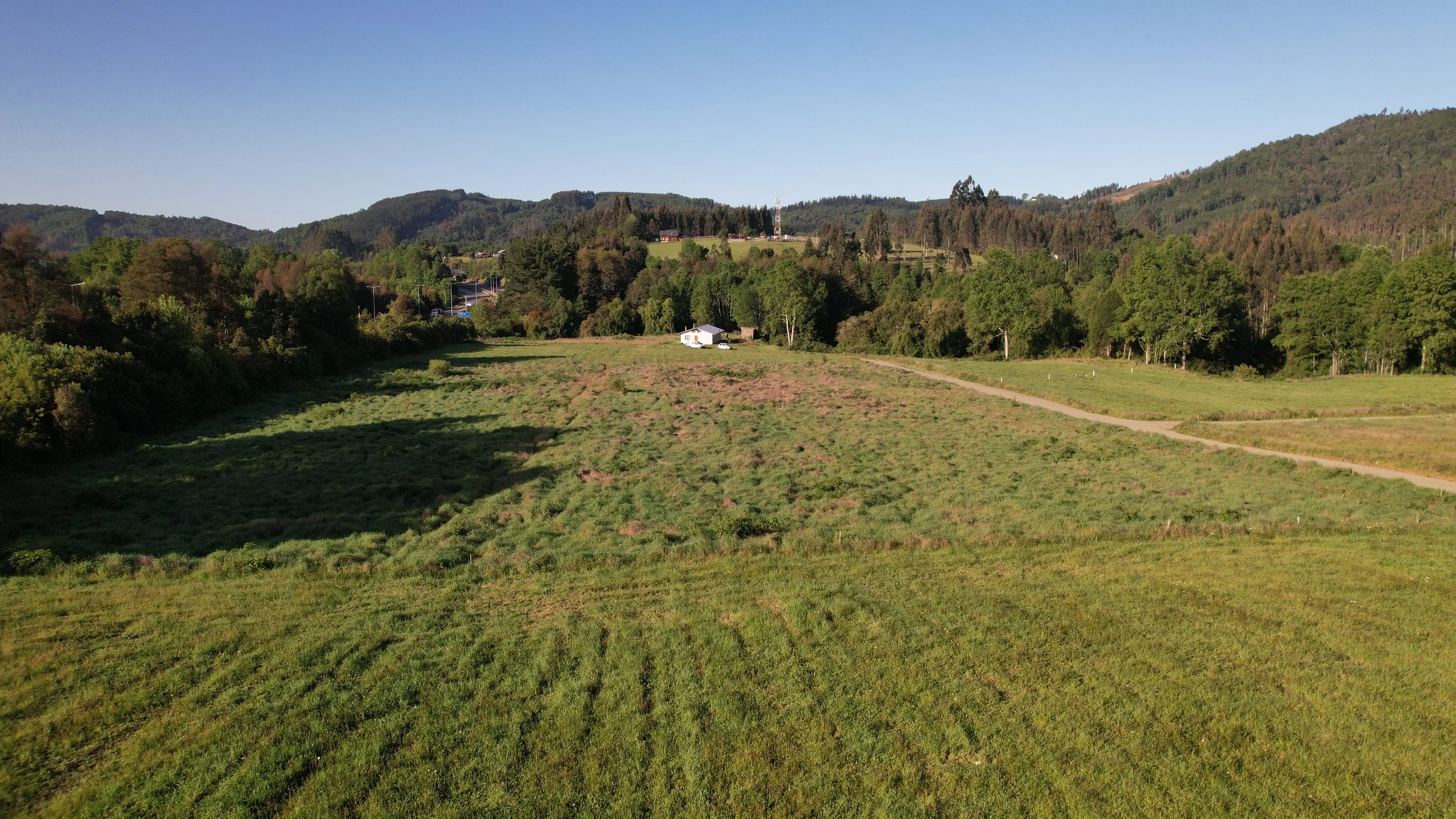 Foto 29-10-25, 6 30 18 p. m..jpg