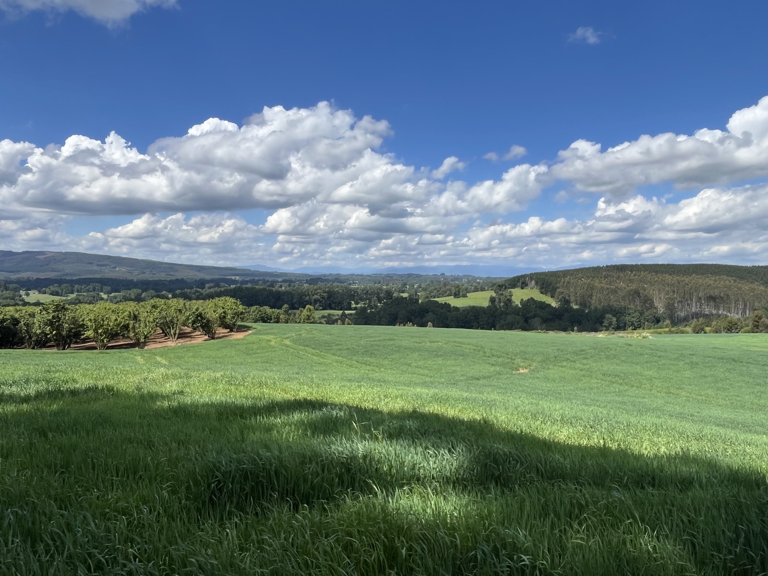 Foto 26-11-25, 3 54 40 p. m..jpg