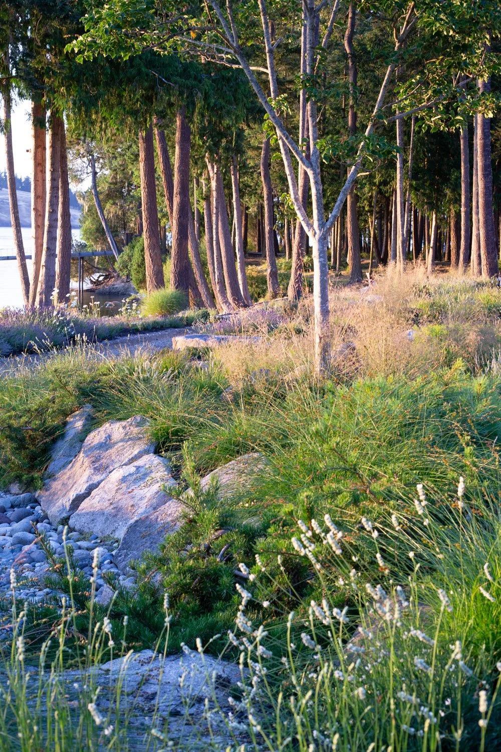 coastal-cove-landscape.jpg