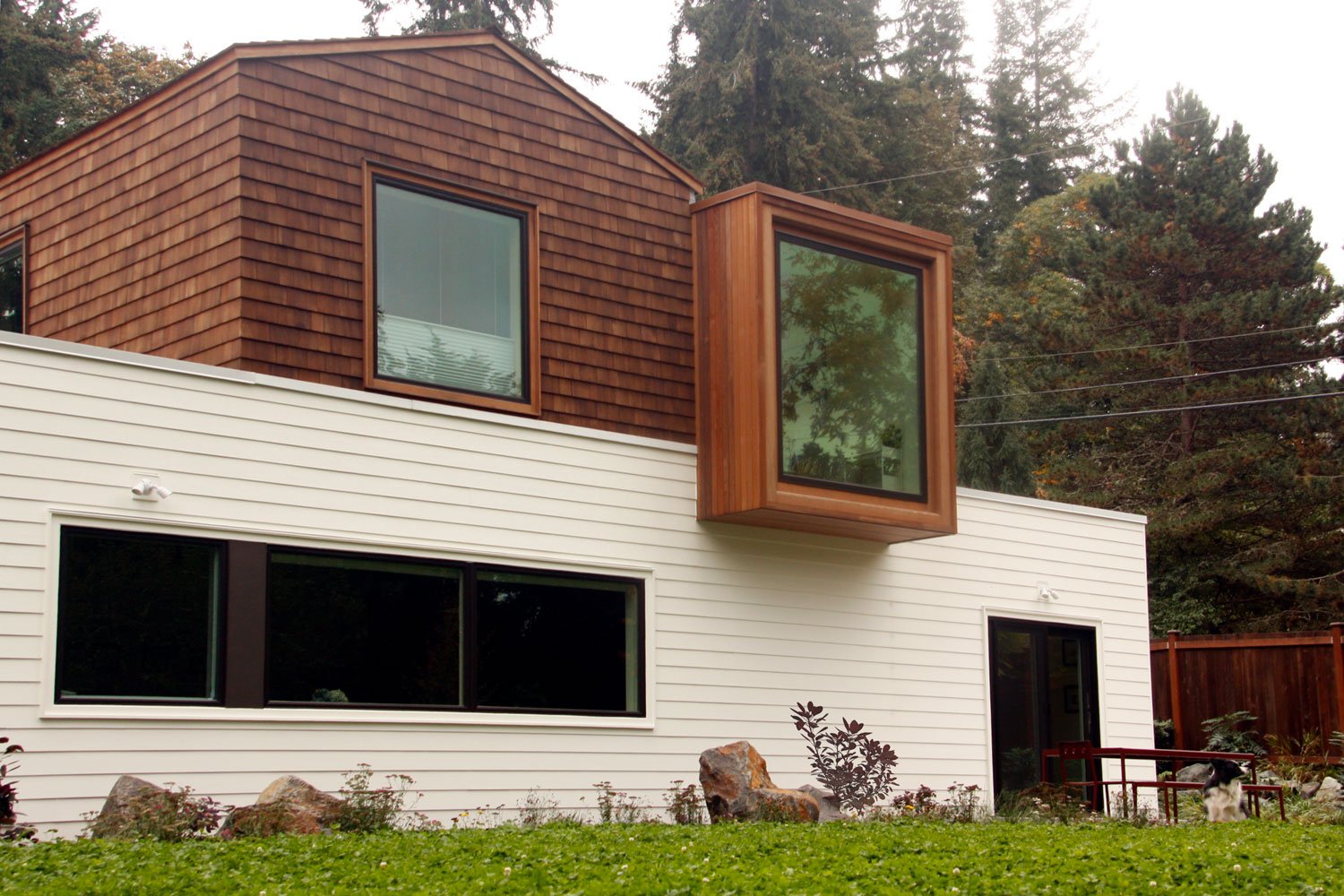 modern-boulder-landscape-backyard.jpg