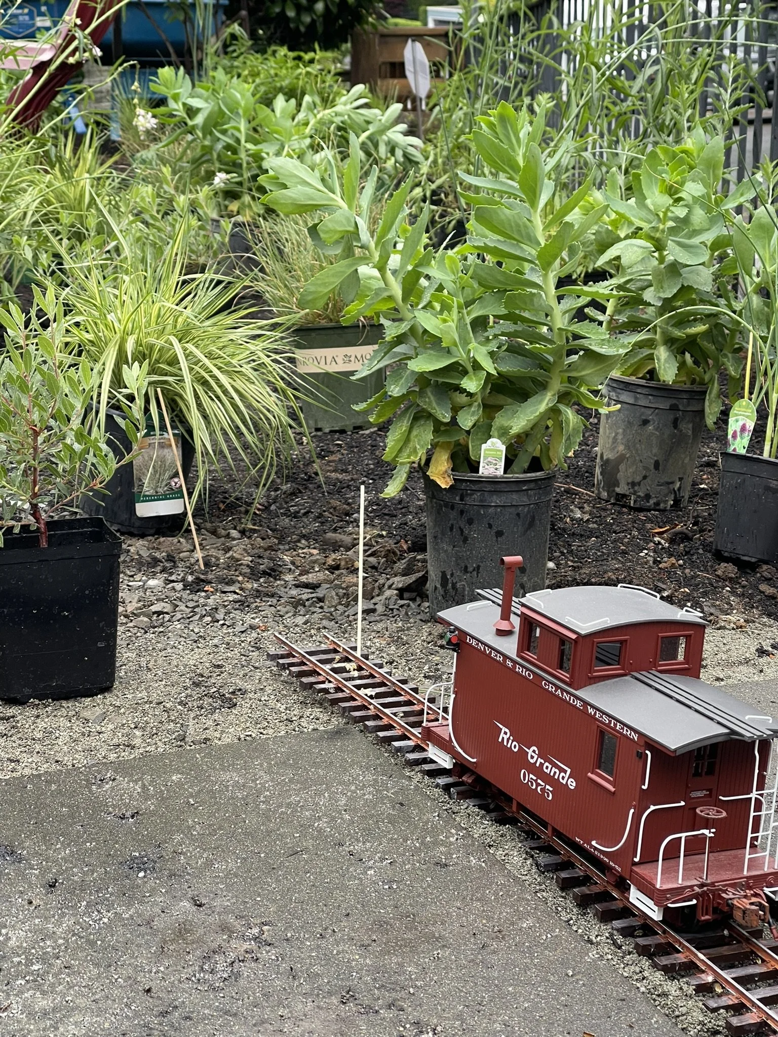 landscape miniature train.JPEG