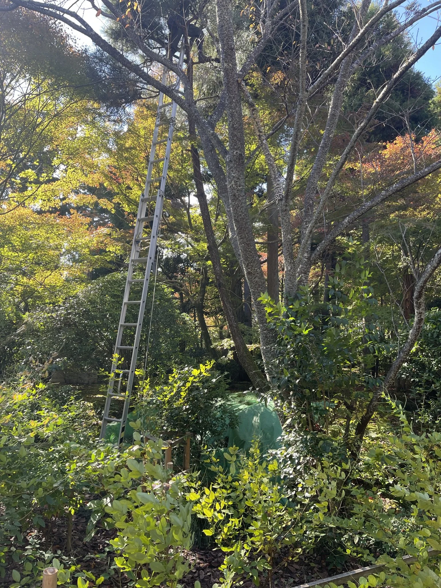 Gardeners at work