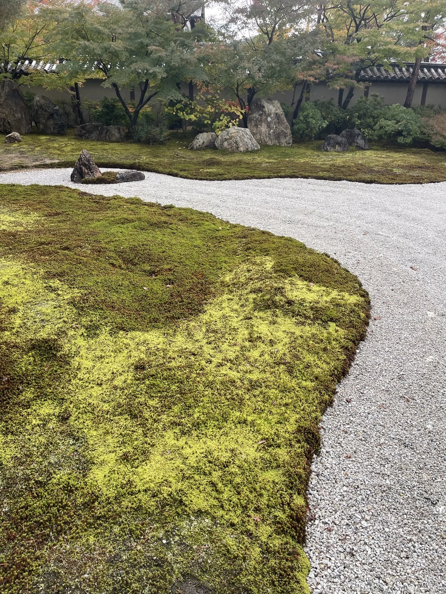 Mossy mounds at the dry garden