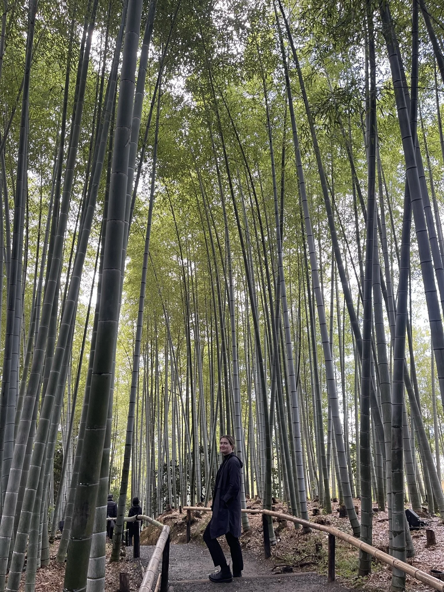 Blissed out in the bamboo