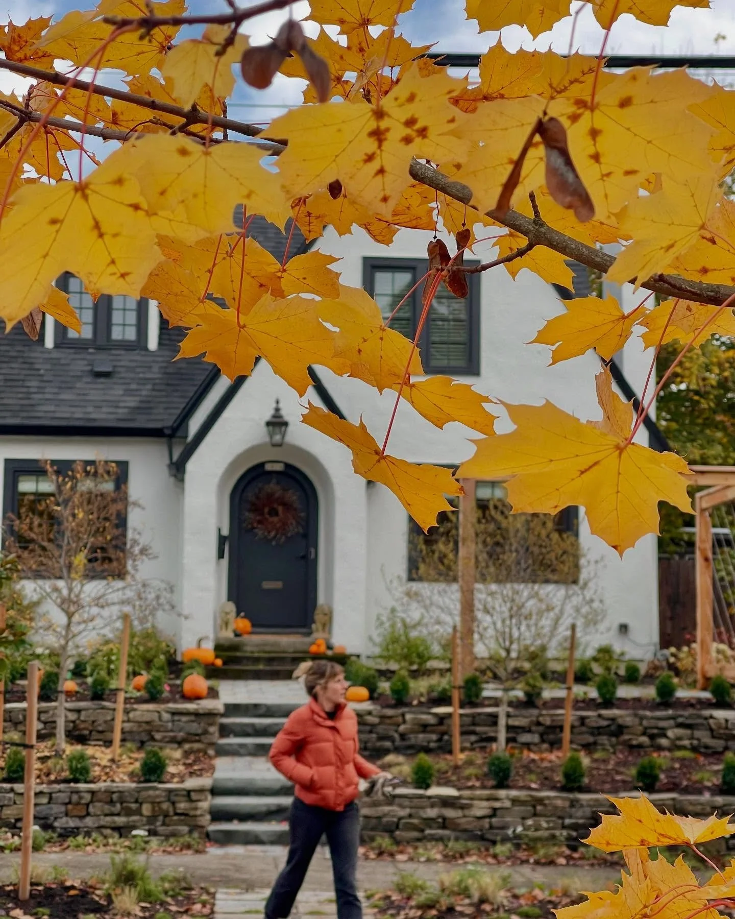 Our Irvington project is now fully tucked in for the winter and we&rsquo;re all looking forward to the explosion of flowering bulbs and perennials come spring. @mortar_and_petal did an incredible job all around. The color story and texture in stonewo