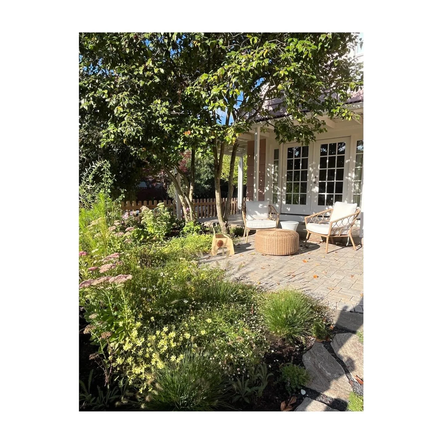 As the year comes to an end we&rsquo;re revisiting some past projects that are near and dear to our hearts. We loved this transformation because of how much was accomplished in a small space! The parking strip wildflower gardens made a huge impact on