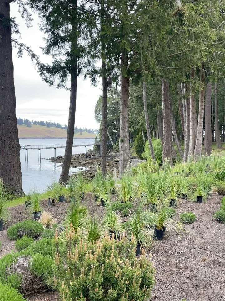 Sharing a few lush moments from the field this spring. We&rsquo;ve been all over region doing what we love-creating regenerative landscapes and grounding gardens throughout the Pacific Northwest for some amazing people. 

We have a great queue of bio