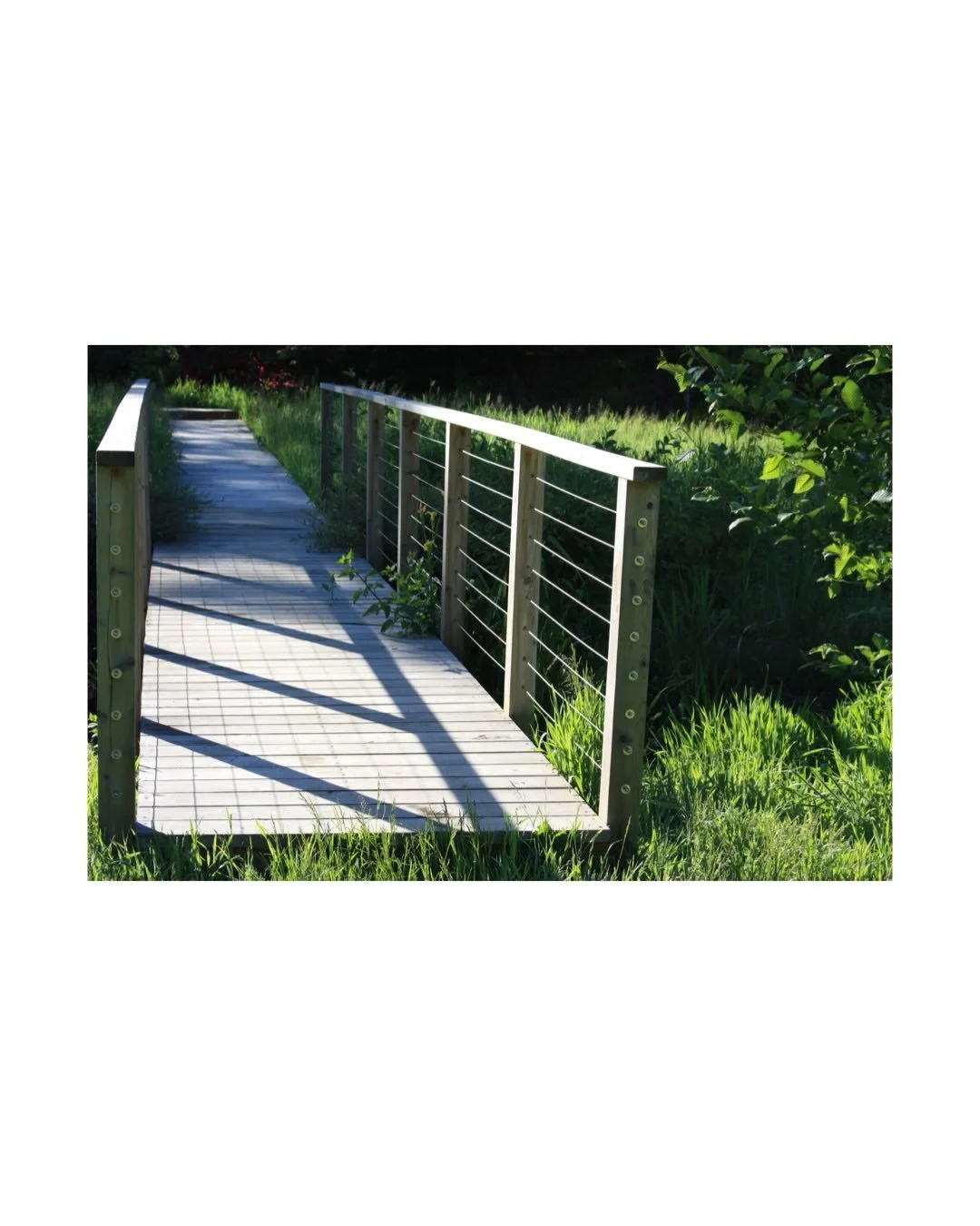 First season of the kid&rsquo;s &rsquo;field of dreams&rsquo;! A soccer field carved out of a meadow, and a new boardwalk and pedestrian bridge to make the journey from house across the creek to the field. A journey complete with log stumps, tree tru