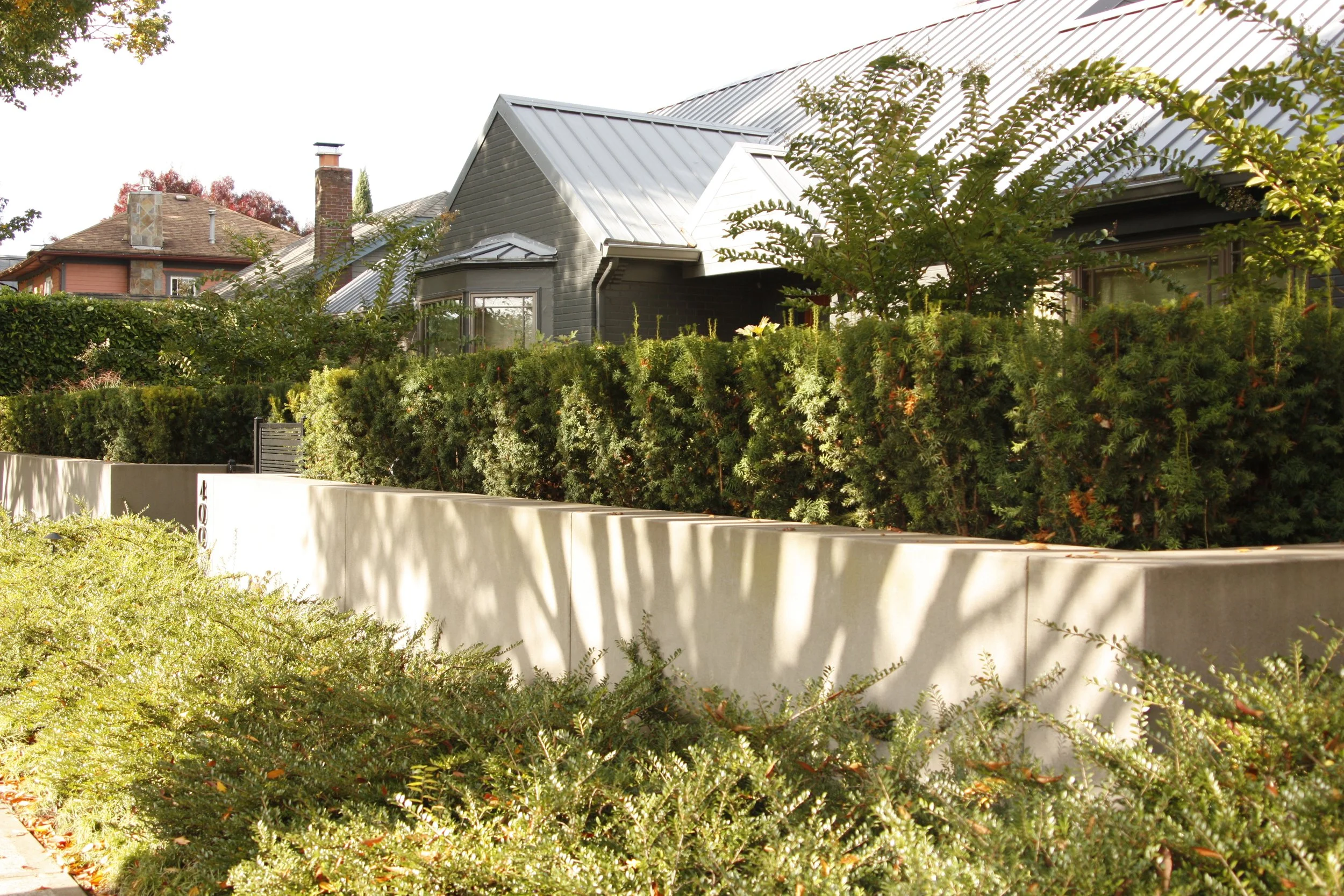 modern-landscape-design-lush-planting-color-story-vegetative-screening-12.JPG