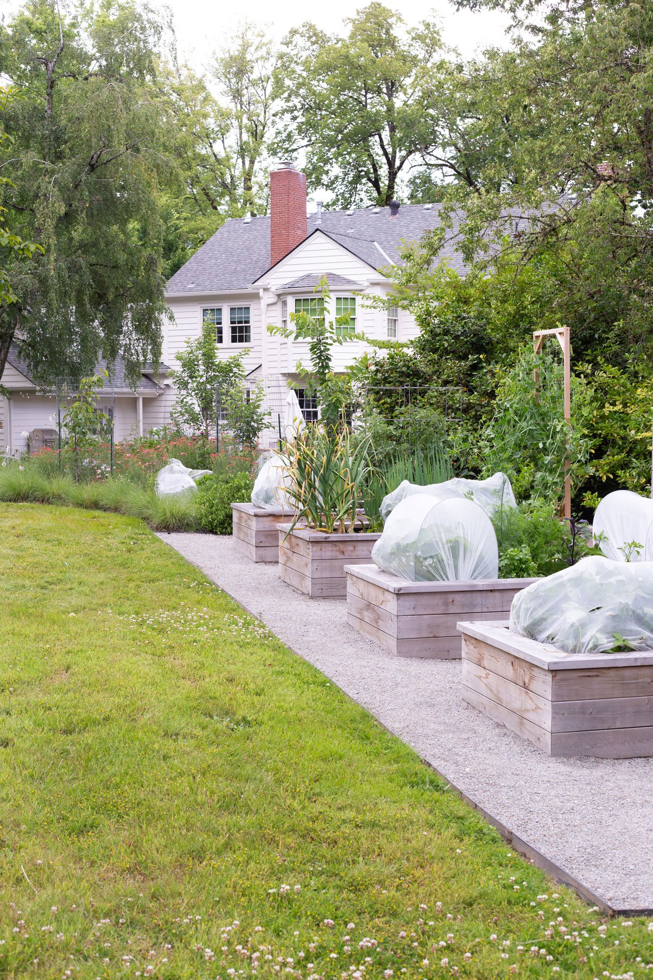 raised-bed-home-edible-garden.jpg