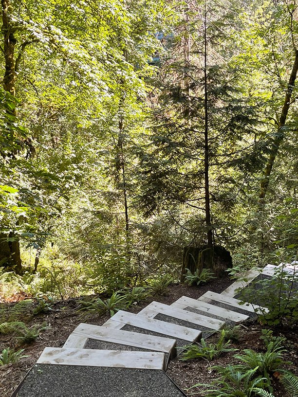 walking path-forest-landscape architecture-fermob-portland oregon.jpg