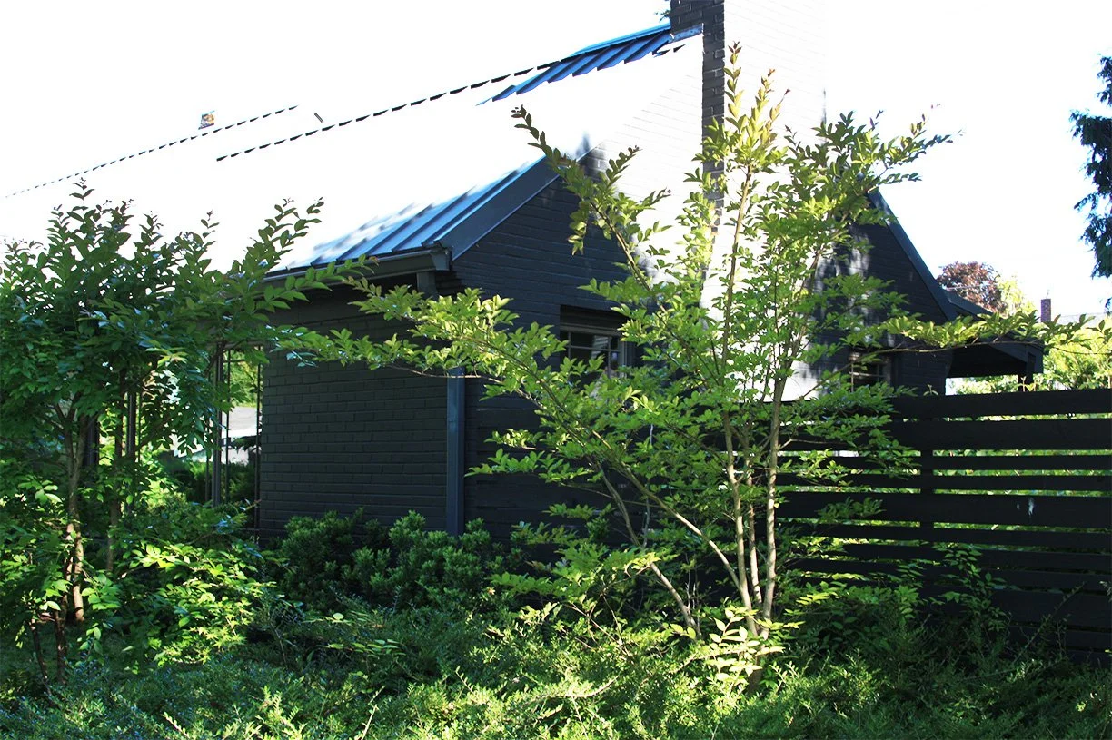 modern-landscape-design-lush-planting-color-story-vegetative-screening-26.jpg
