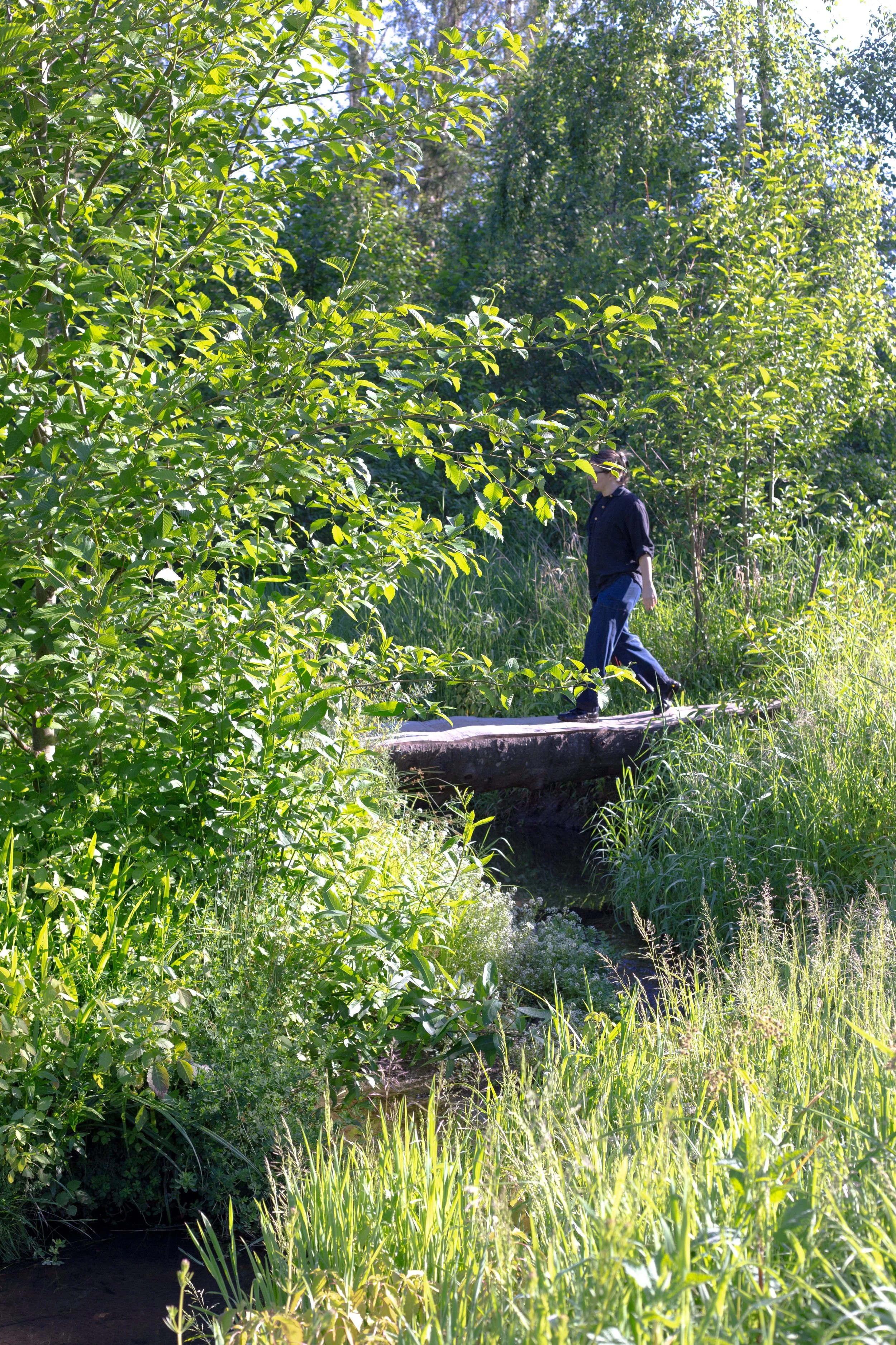 IMG_0734.jpg