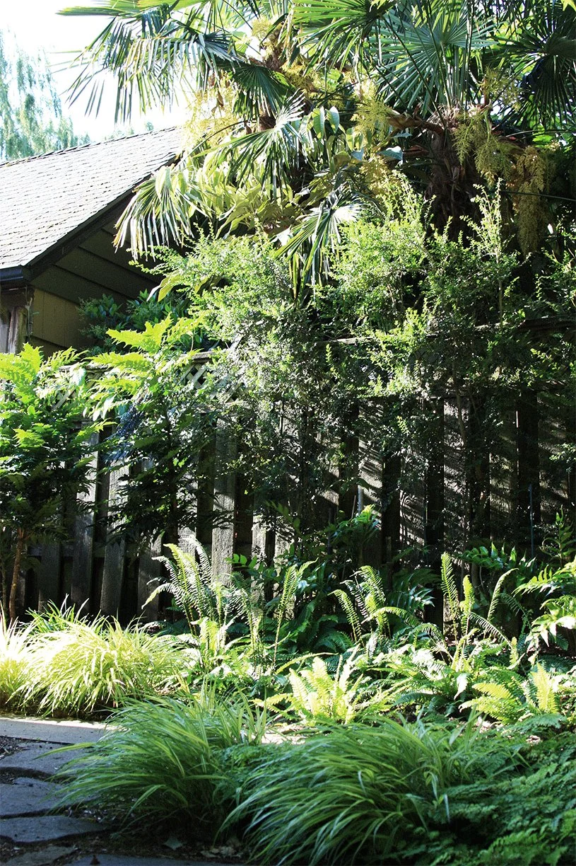 modern-shade-garden-japanese-style-landscape-design-custom-stonework-40.jpg