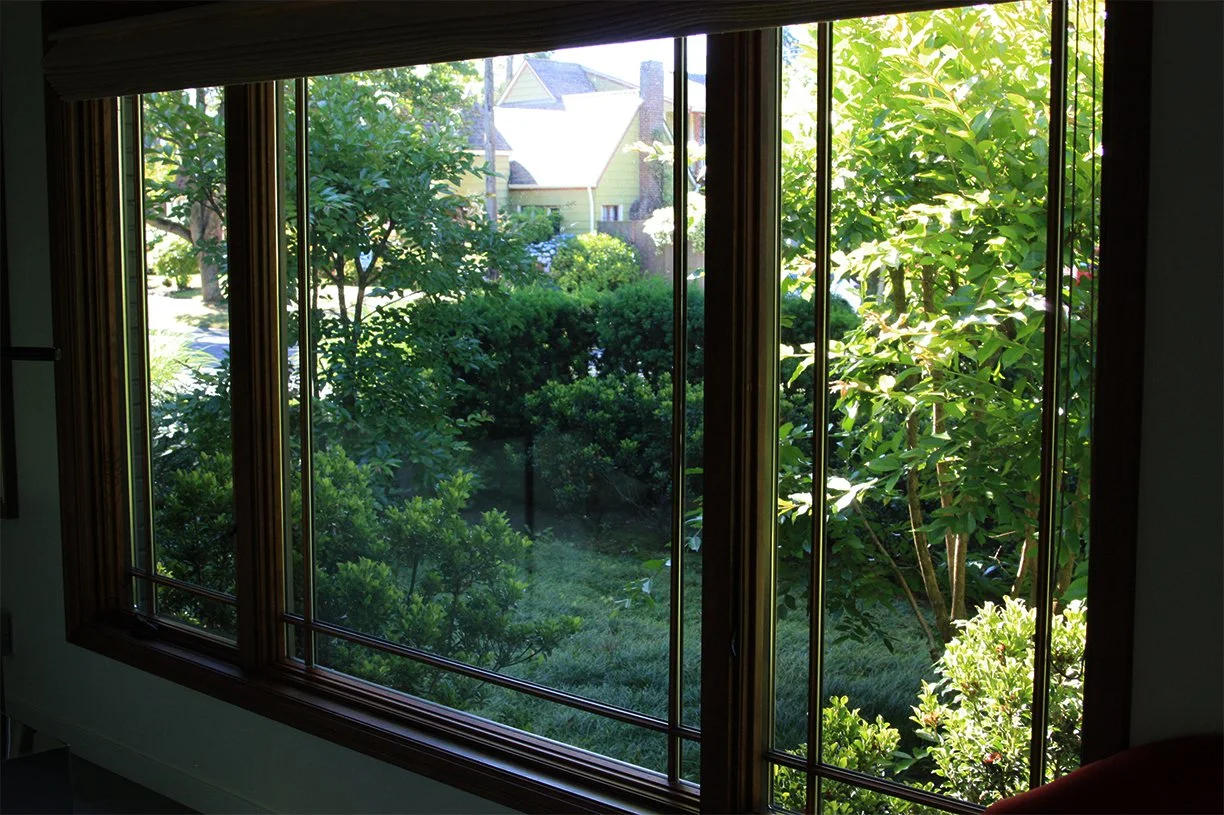 modern-landscape-design-lush-planting-color-story-vegetative-screening-25.jpg