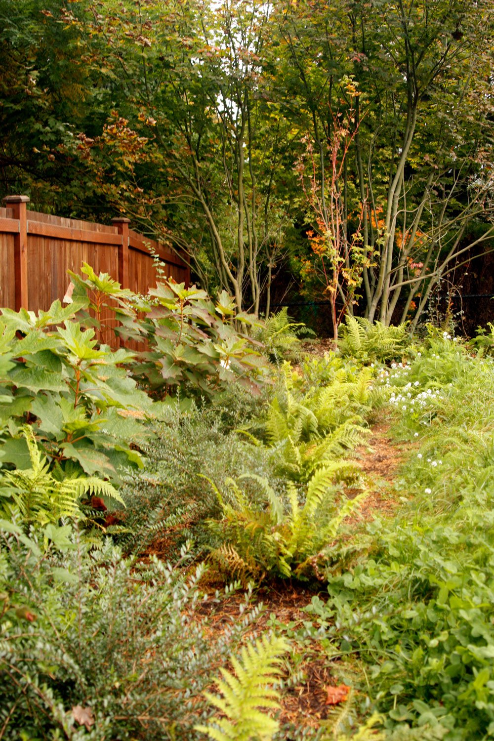native-forest-planting-landscape.jpg