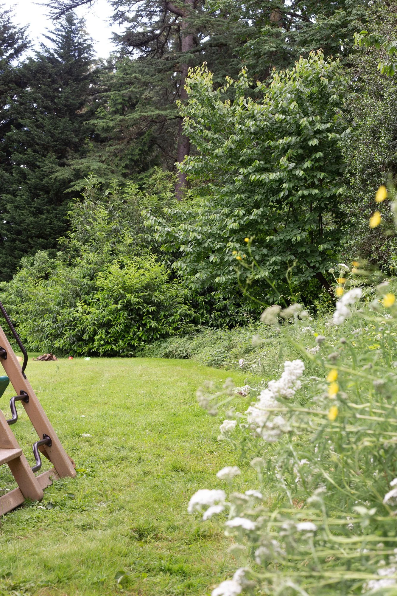 estate-playground-lawn-meadow.jpg