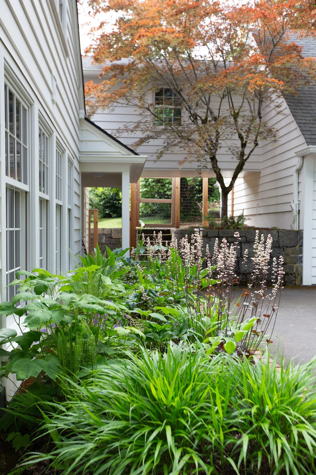 shade-garden-landscape-portland.jpg