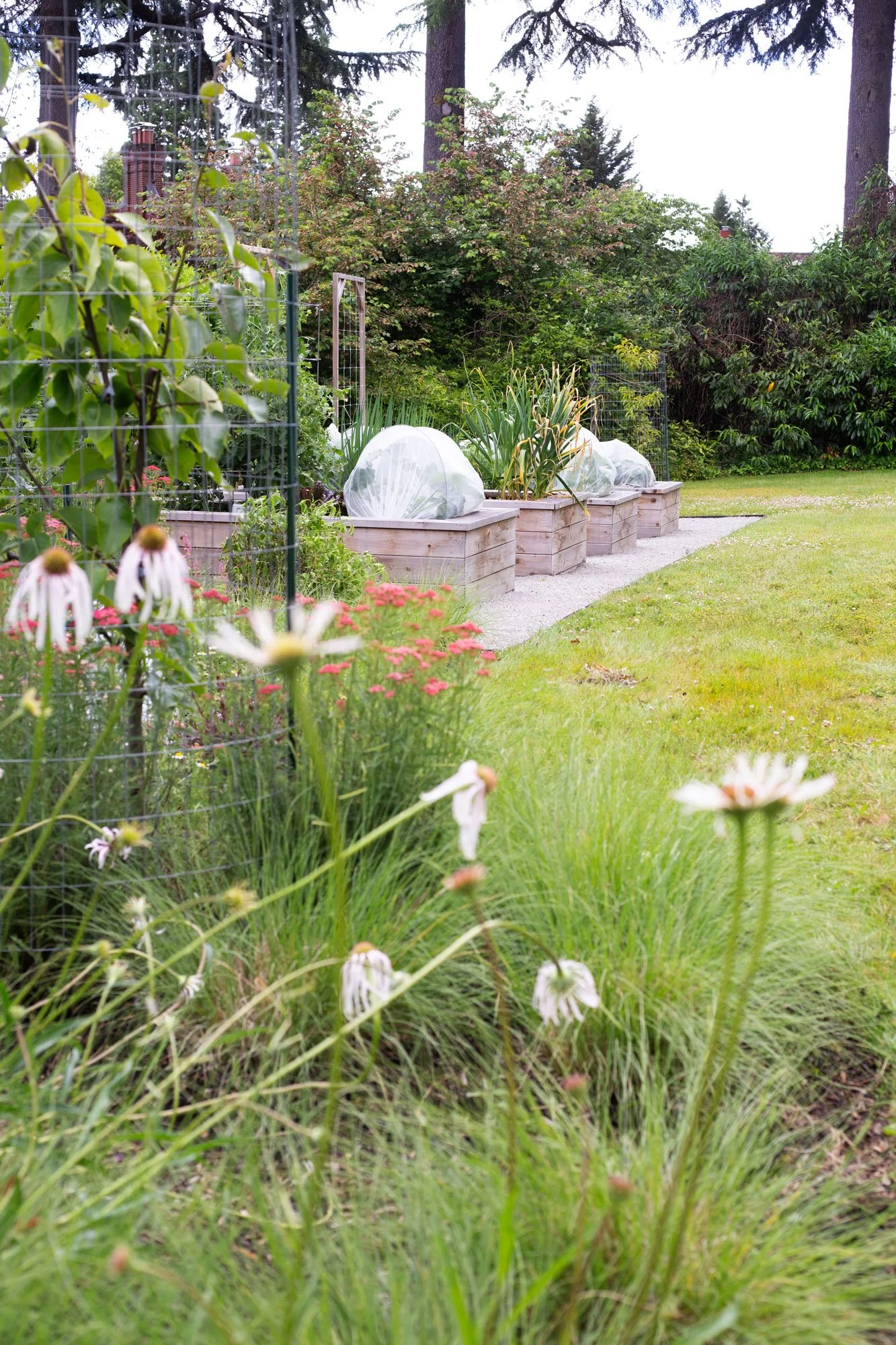 edible-garden-meadoqw-landscape.jpg