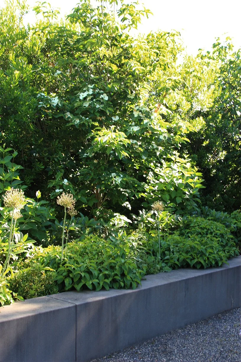 modern-landscape-design-lush-planting-color-story-vegetative-screening-23.jpg