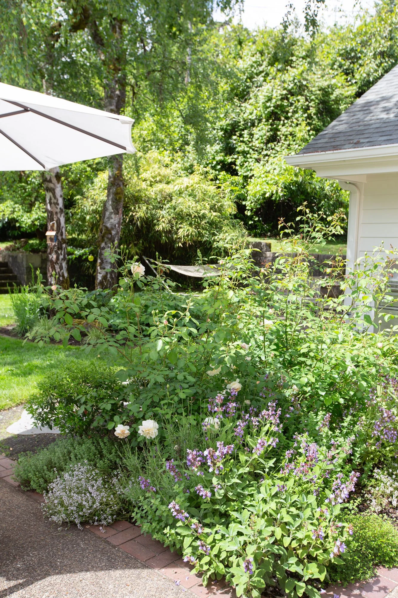rose-garden-patioi-estate.jpg