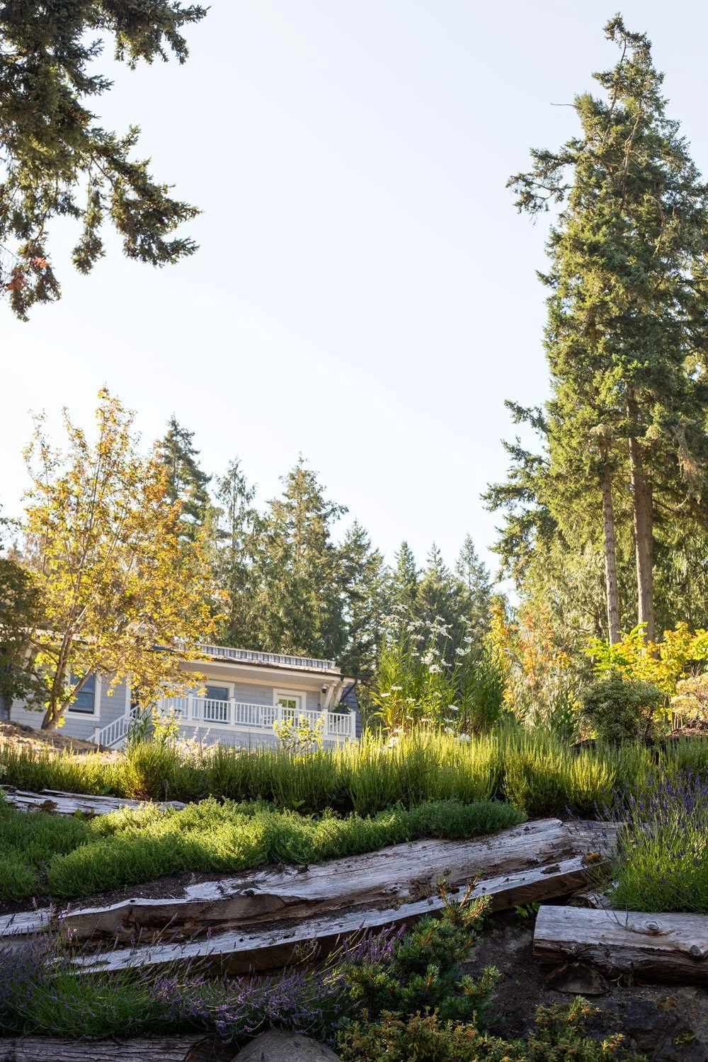 pacific-northwest-residential-landscape.jpg