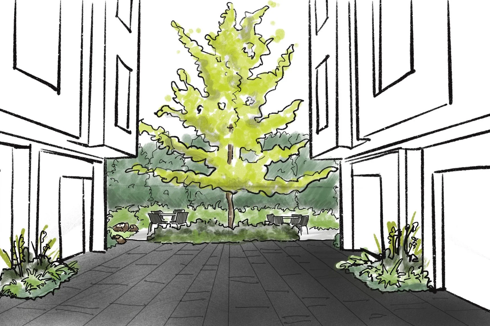 landscape_design_infill_driveway.jpg